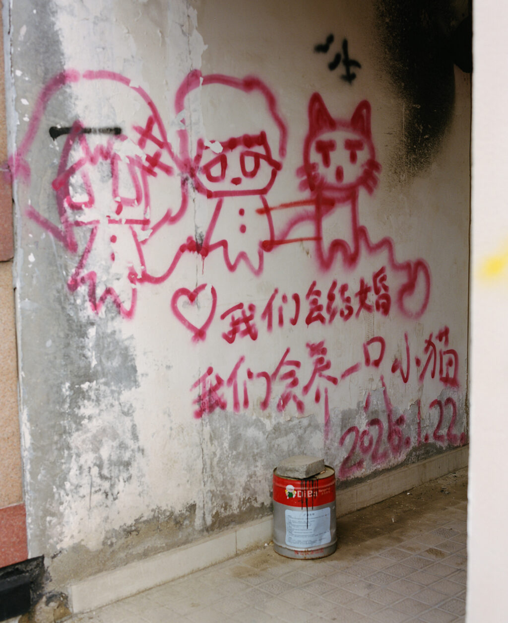 Yufei-Ma-Endless Dreams-16