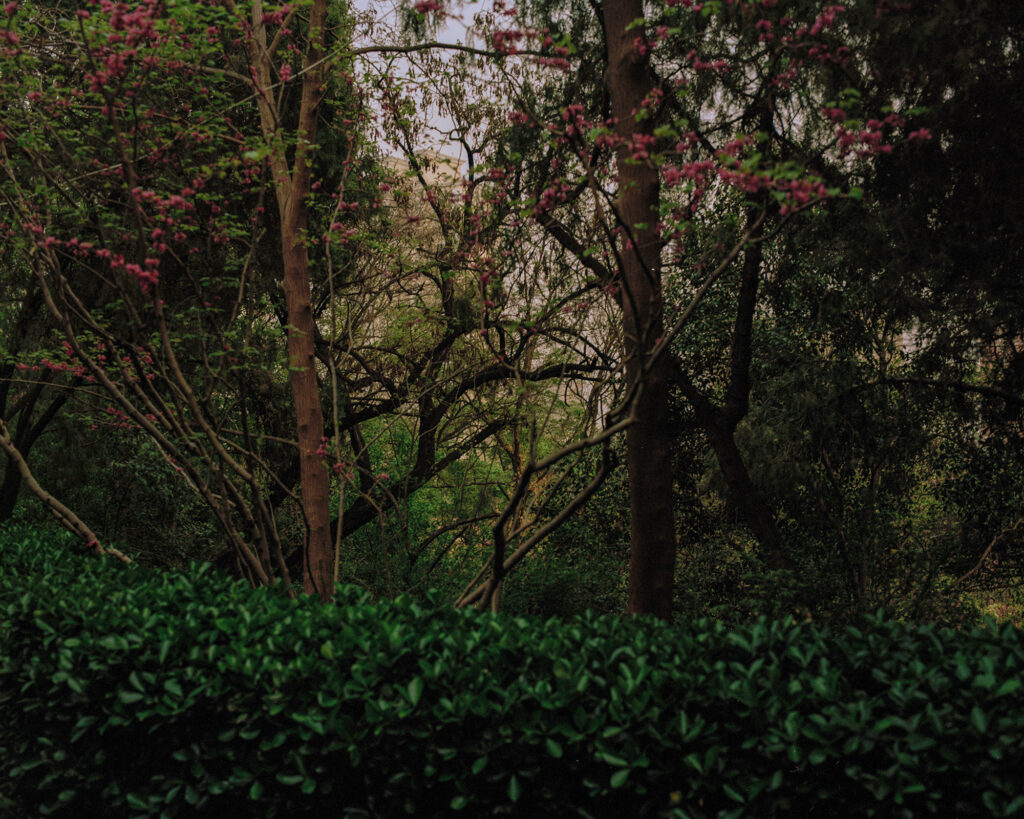 Yufei-Ma-Endless Dreams-29