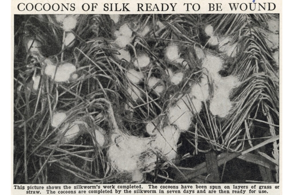 1 Picture Collection NYPL